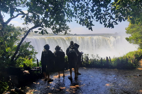 Victoria Falls: Guided tour by local guides Private tour in English