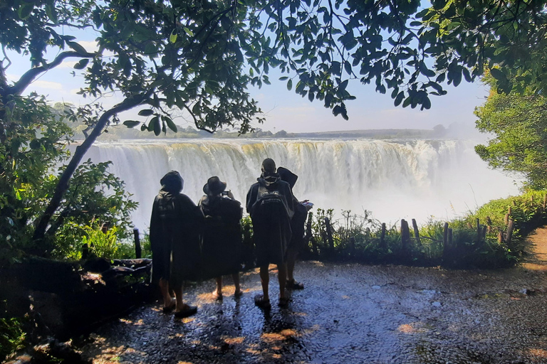 Victoriafälle: Geführte Tour durch ortskundige Guides