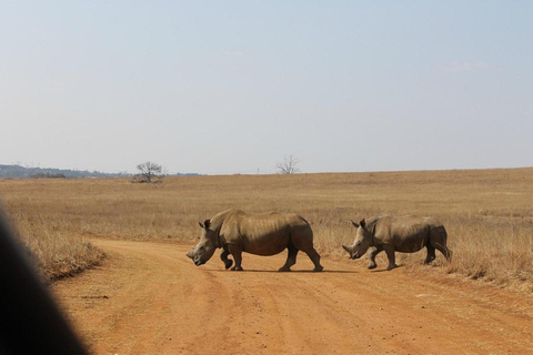 From Pretoria: Rietvlei Nature Reserve Mini Safari Tour Pretoria: Rietvlei Nature Reserve Mini Safari Tour