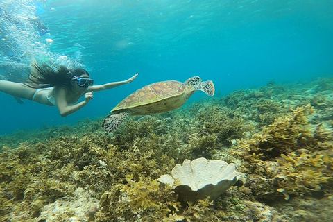 Cebu: wyspa Pescador, bieg z sardynkami i kanion KawasanCebu: Moalboal Island Hopping i Kawasan Canyoneering