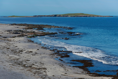 Z Edynburga: 6-dniowy Szetlandy i Nothernmost Explorer6-dniowy Shetland Explorer - łóżko pojedyncze