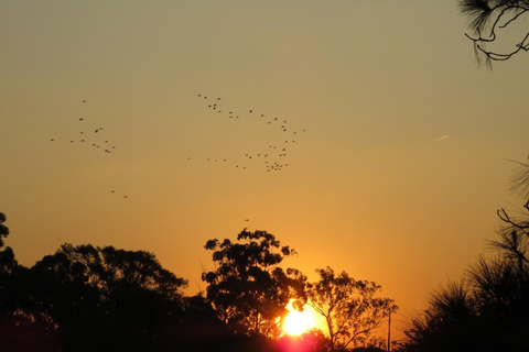 Johannesburg: Soweto und Apartheid Museum Tour
