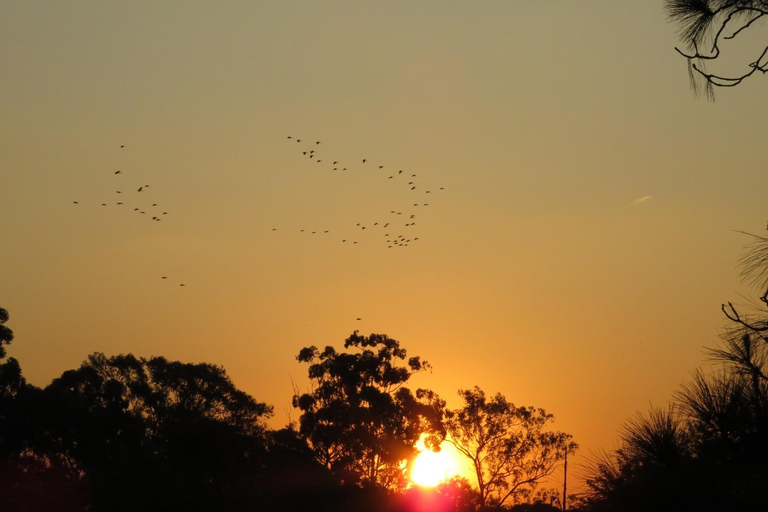 Johannesburg: Soweto und Apartheid Museum Tour