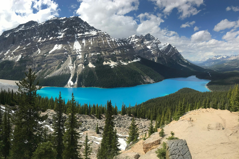 坎莫尔/班夫：亚伯拉罕冰泡湖、佩托湖、弓湖