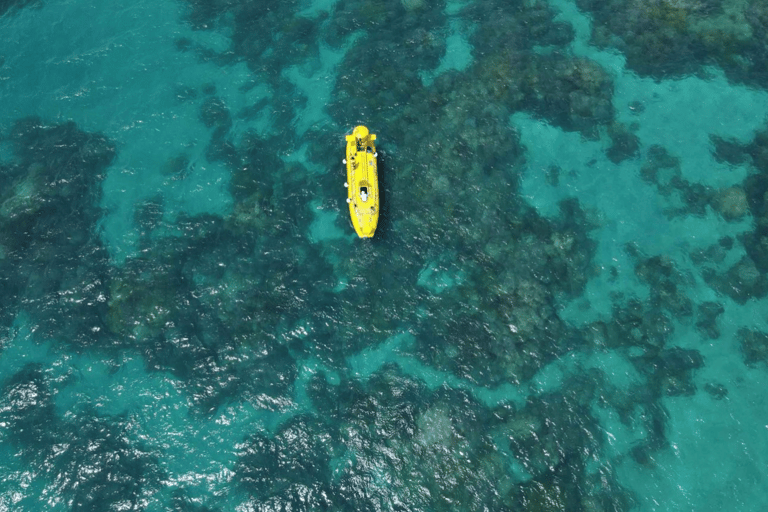 Zanzibar: tour in semisommergibile con vista subacqueaZanzibar: tour in semi-sottomarino con vista subacquea