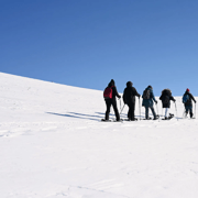 Levi: Guided Snowshoeing Tour with Hot Drinks