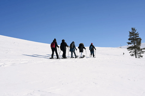 Levi: Guided Snowshoeing Tour with Hot Drinks