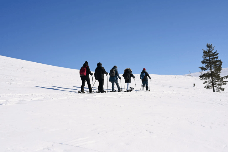 Levi: Geführte Schneeschuhwanderung mit heißen Getränken