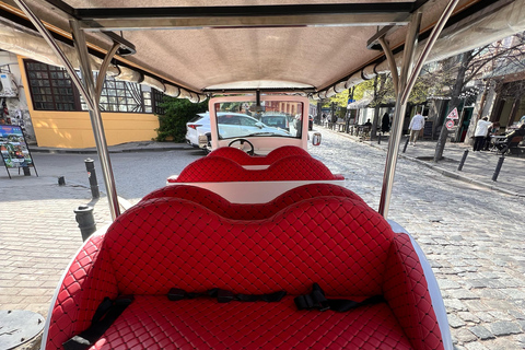 Tbilisi: Electric Bus and Boat Tour