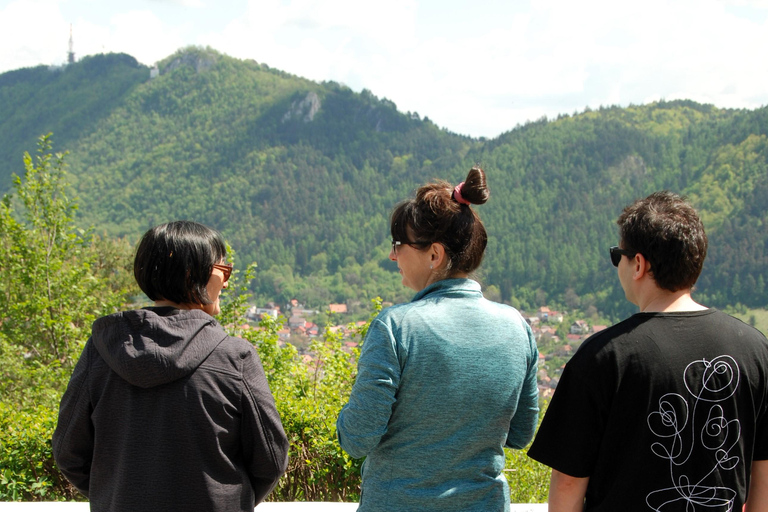 Poiana Brașov: setas silvestres y secretos del bosque