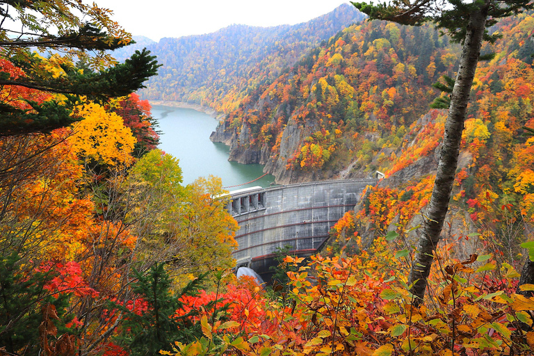 Sapporo in Autumn: Hoheikyo Dam and Hoheikyo Onsen Tour