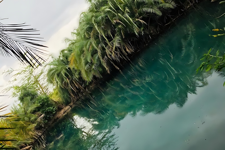 Moshi: Chemka Hot Springs Day Trip with Accommodation Pickup