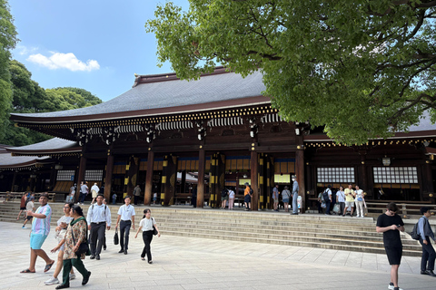 Tokio: privétour met gids langs tempels en heiligdommen per autoPremium SUV voor 3 personen