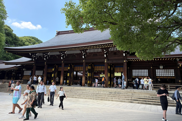 Tokio: privétour met gids langs tempels en heiligdommen per autoPremium SUV voor 3 personen