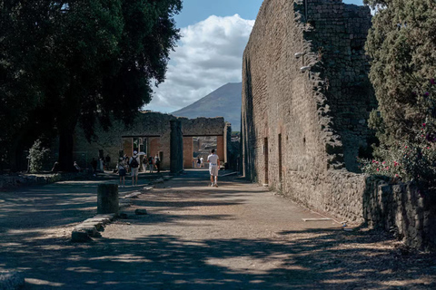 From Rome: Best of Pompeii Guided Tour and Sorrento day trip