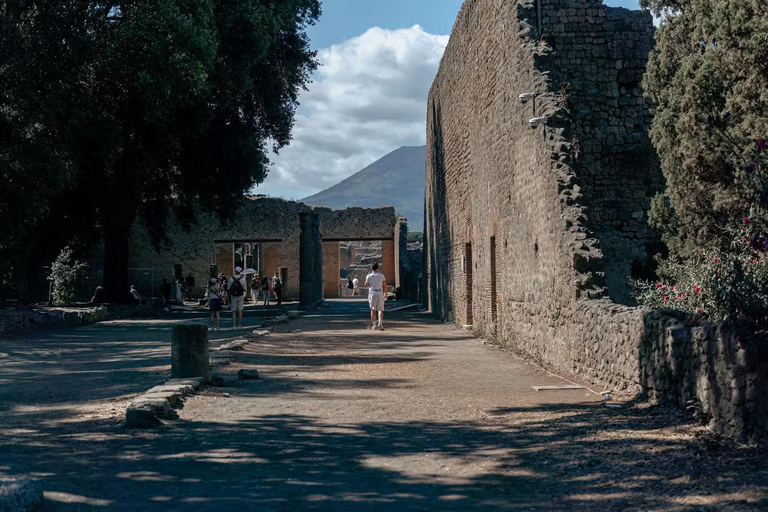 From Rome: Best of Pompeii Guided Tour and Sorrento day trip