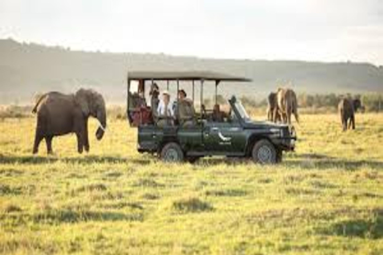 From Nairobi: 4-Day Naivasha and Masai Mara Luxury Safari