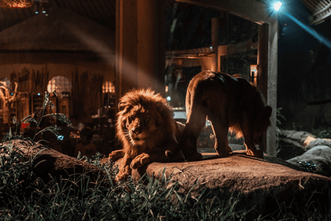 Bali Tour: Dinner with the Wildlife in the Zoo