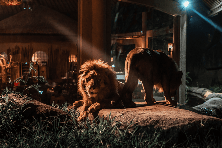 Bali Tour: Dinner with the Wildlife in the Zoo