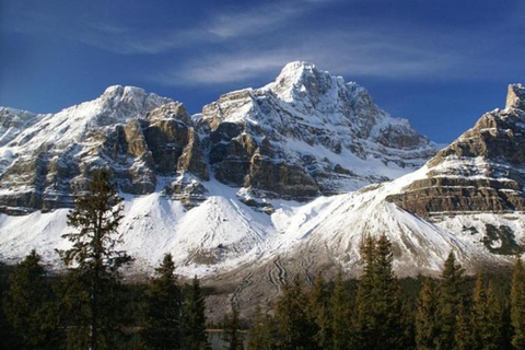 Nationale parken Banff en Jasper: Dagtour met ophaalservice