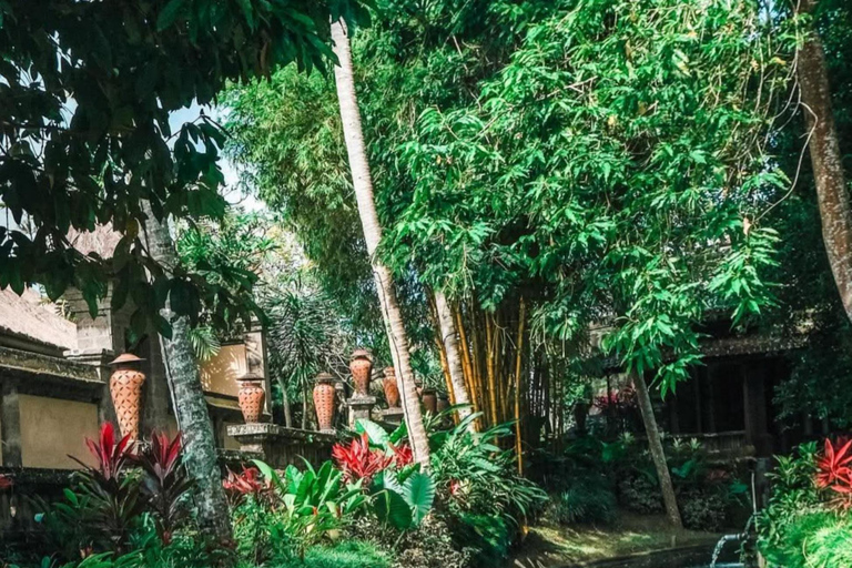 Bali: Swing, Koi Photo Boat, Monkey Forest, & Waterfall Private tour with ticket include