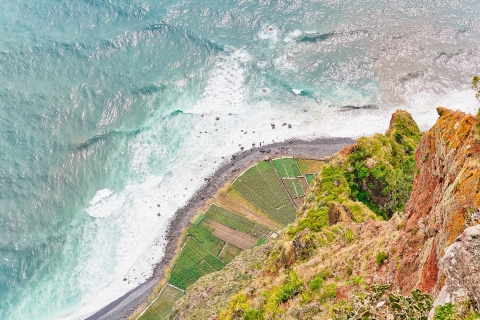 Funchal: Yachttour mit Delfin- und WalbeobachtungTour mit Treffpunkt