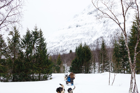 Tromsø: Husky Sledding Adventure with Soup & Transfers