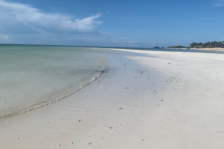 Pungume Island : Snorkeling en Sea Scooter