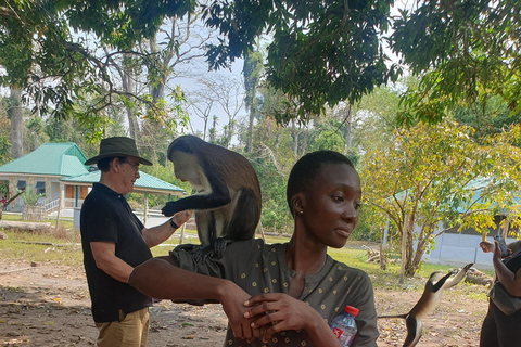 Ervaar Ghana in 8 dagen