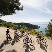 Split City Electric Bike Tour