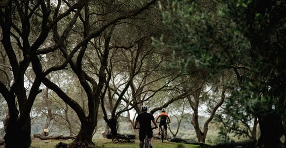 Corfu: E-Bike Tour with Olive Oil Tasting