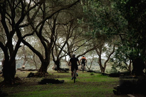 Corfù: tour in e-bike con degustazione di olio d'oliva