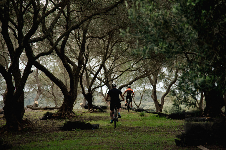 科孚岛：电动自行车之旅搭配橄榄油品鉴科孚岛：电动自行车游与橄榄油品鉴