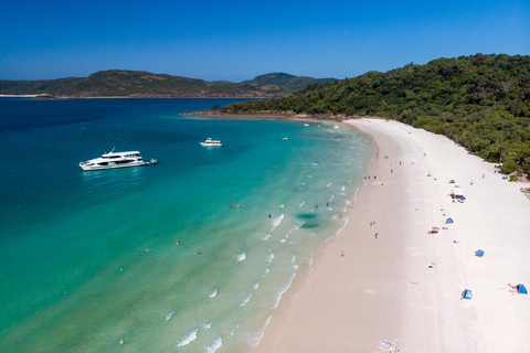 From Daydream: Whitsundays and Whitehaven Half-Day Cruise Afternoon Cruise