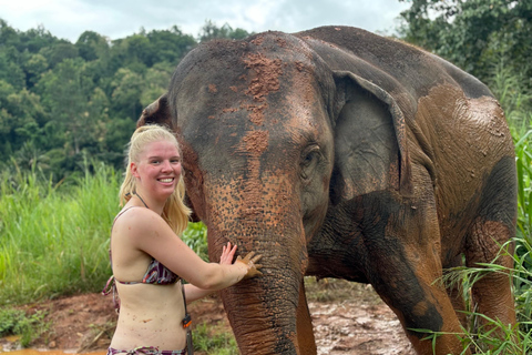 Chiang Mai: Doi Inthanon and Elephant Sanctuary Tour Hotel Pickup