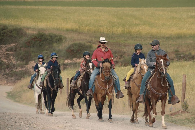 Halfdaagse tour te paard naar de Tempel van de Maan