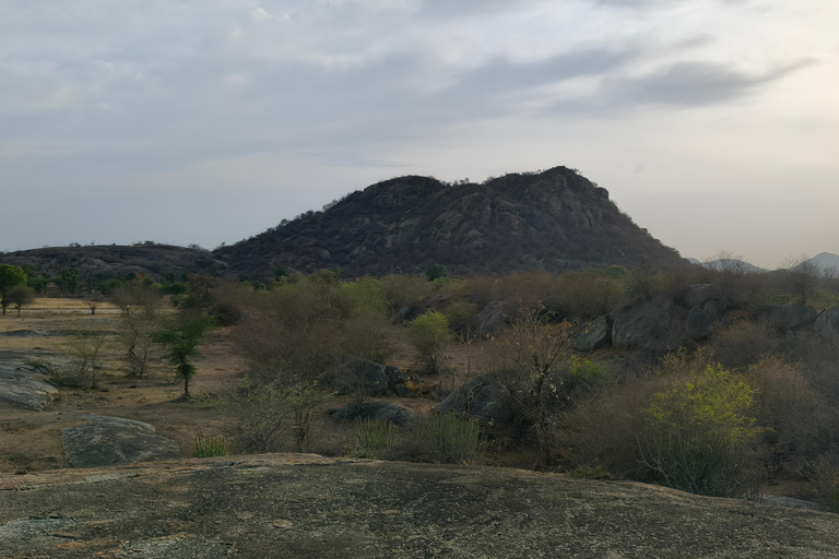 Jodhpur To Udaipur: Ranakpur Temple & Jawai Leopard Safari