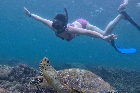 Gili Air : en visite publique ou en groupe Excursion de plongée en apnée 3 îles Gili