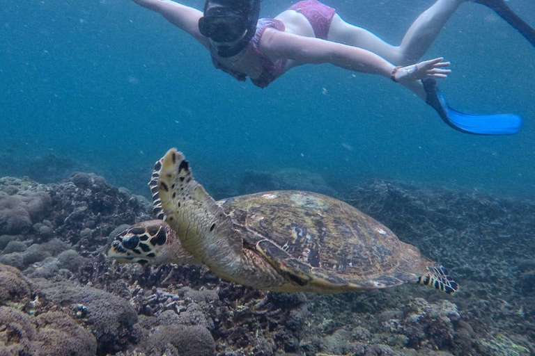 Gili Air : en visite publique ou en groupe Excursion de plongée en apnée 3 îles Gili