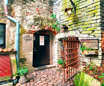 Tallinn : Visite guidée à pied de la vieille ville