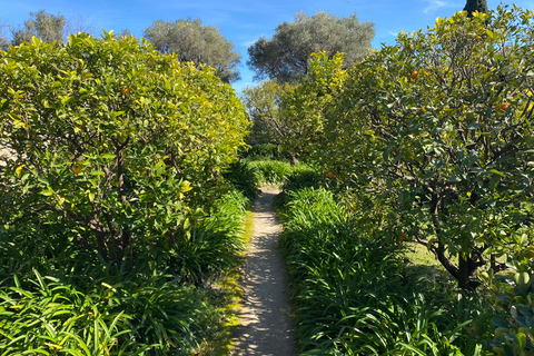 Nice: tour of three iconic villas in saint-jean-cap-ferrat