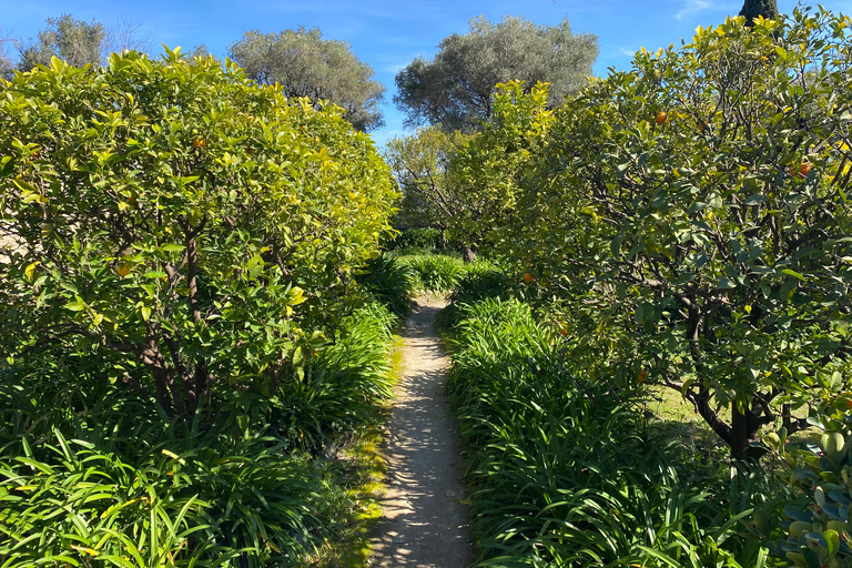Nice: tour of three iconic villas in saint-jean-cap-ferrat