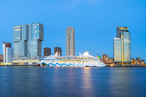 Rotterdam: Un paseo perfecto con un lugareño