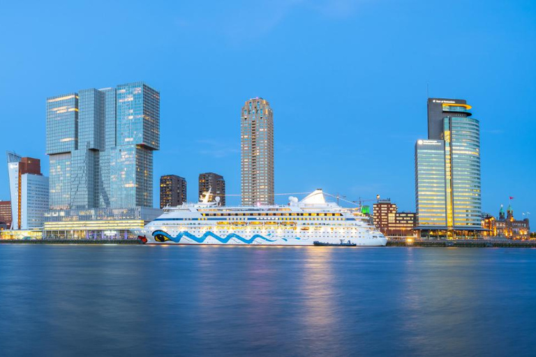 Rotterdam: Insta-Perfect Walk mit einem Einheimischen