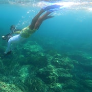 Niza, Cap d'Ail Excursión de snorkel en moto de mar