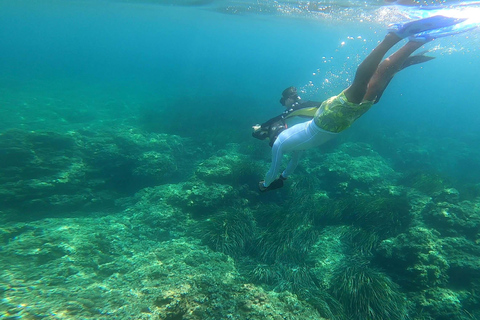 Nice, Beaulieu Sur Mer: Snorkling med havsskoter