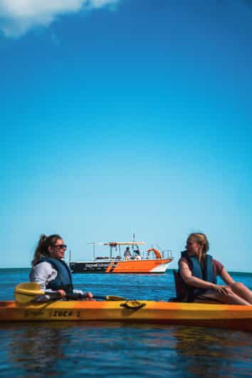 From Lagos: Ponta da Piedade Caves Kayak Tour from Catamaran