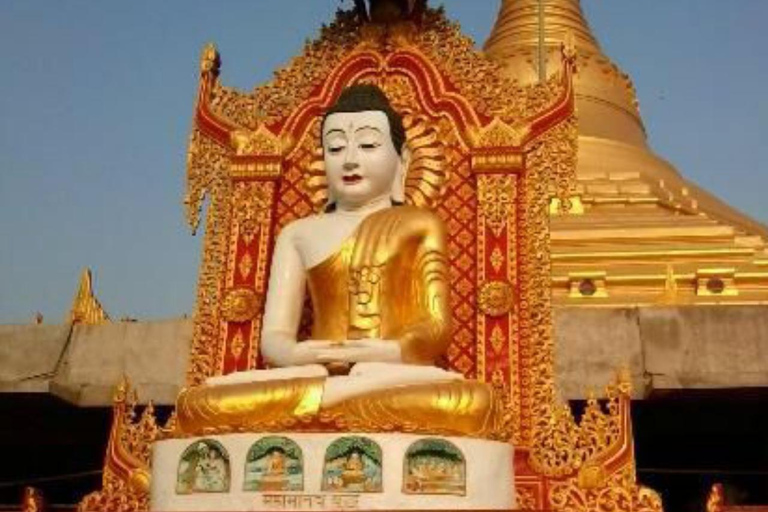 Mumbai: Kanheri Caves Guided Tour Kanheri Caves+Temple+Village+Tiger safri ( pickup & drop)