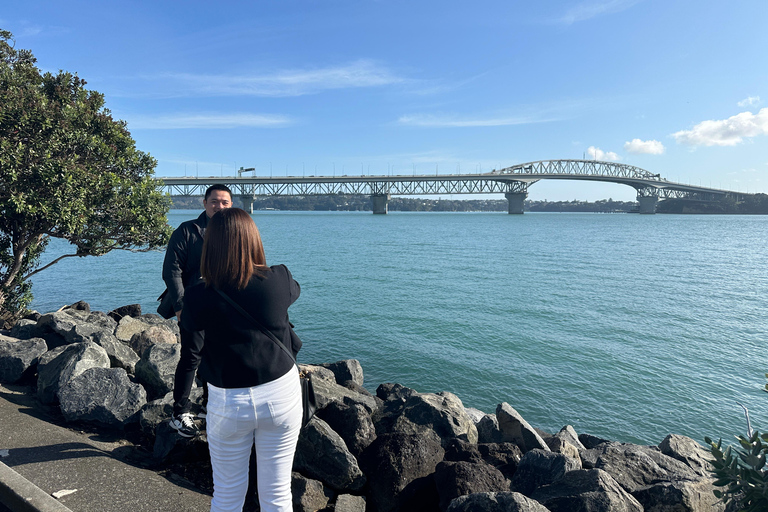 Auckland City Top Spots Half Day Tour(Small Group Tour)