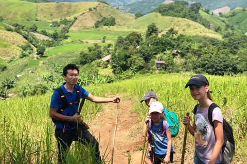 Chiang Rai Trek: 4 Hilltribes Villages & Waterfall Only Walk